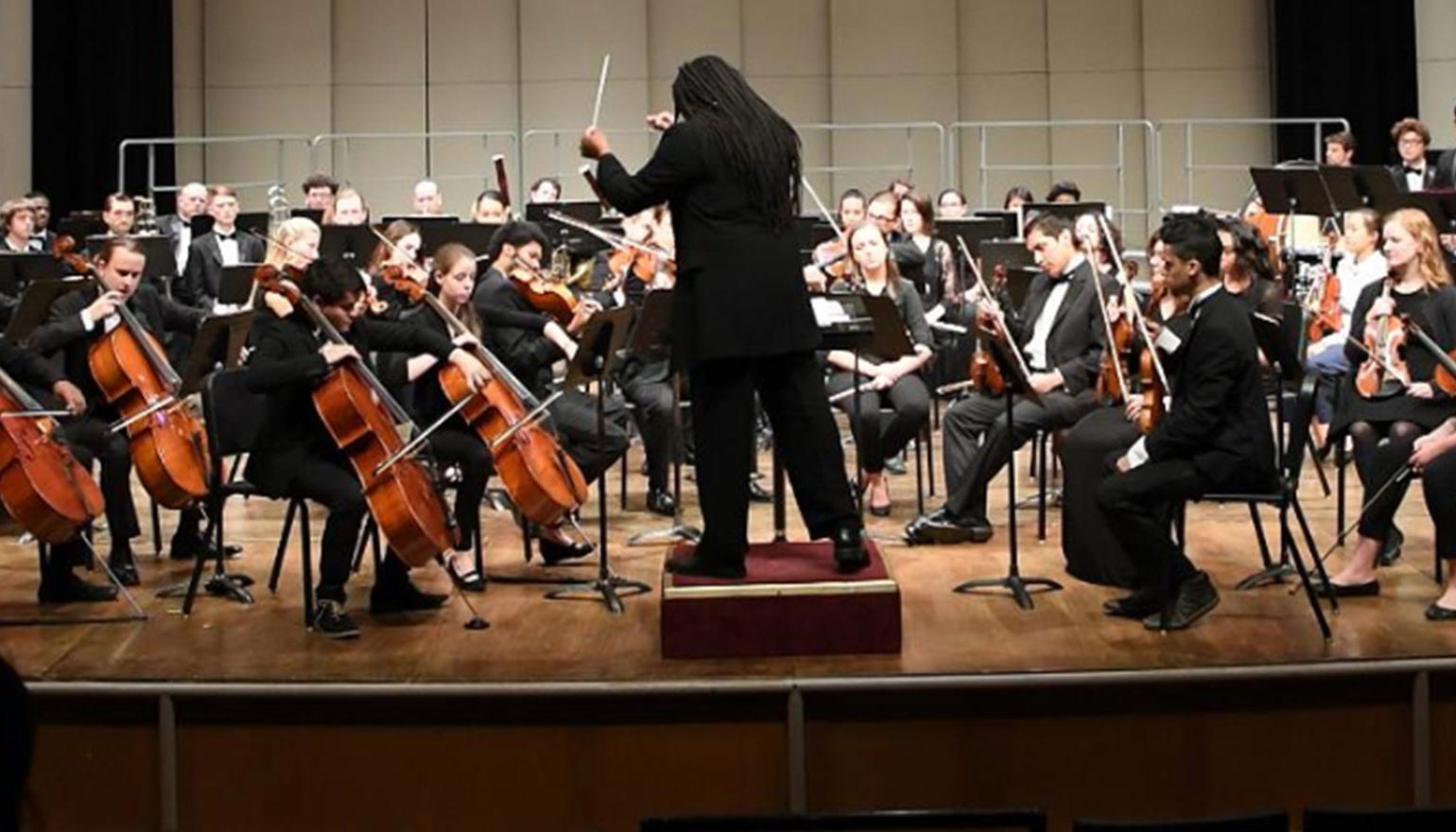 Orchestra and conductor from audience